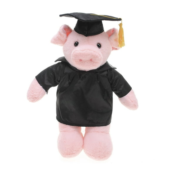 Made by Aliens Personalized Pig Stuffed Animal Plush Toy  Perfect Gift for Graduation Name or Your School Logo on Gown, Best for Any Grad School Kids 12 Inches