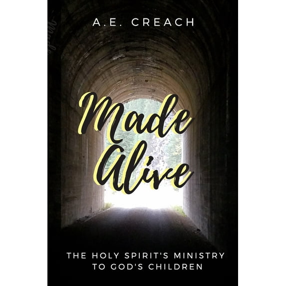 Made Alive : The Holy Spirits Ministry to God's Children (Paperback)