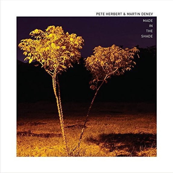 Made In The Shade (Vinyl)