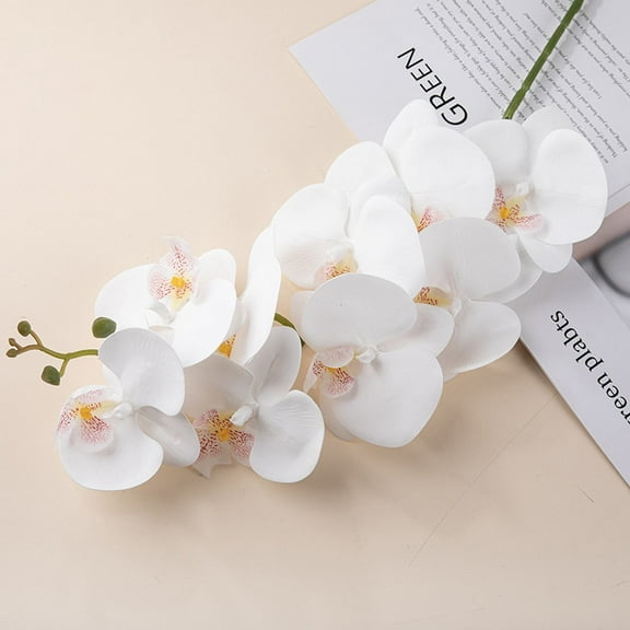 Made of Plastic, Artificial Flowers the Hand Feeling Is Too Sticky to the Big Phalaenopsis Wedding Artificial Flower Simulation Flower Home Decoration Simulation Plant