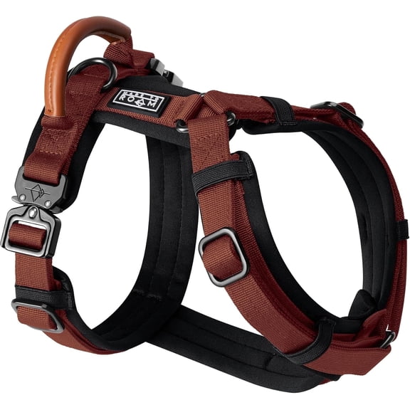 Made To Roam Premium Explorer Harness - Y-Shaped Dog Harness with Adjustable Durable Nylon, Soft Padding, Metal Buckles and Leather Handle for Small, Medium, Large Dogs (Arizona Heartbeat, Size 1)