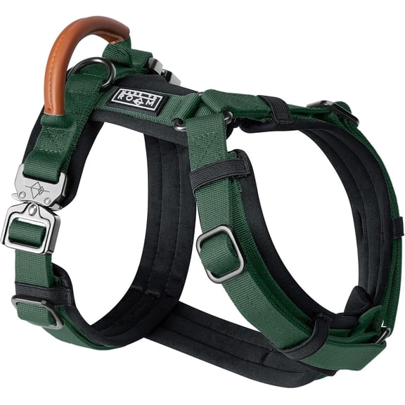 Made To Roam Premium Explorer Harness - Y-Shaped Dog Harness with Adjustable Durable Nylon, Soft Padding, Metal Buckles and Leather Handle for Small, Medium, Large Dogs (Maine Marina, Size 1)
