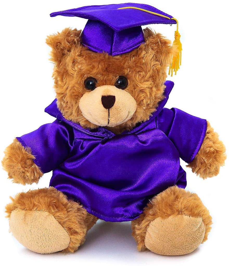 Graduation teddy bears best sale personalized