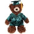 thumbnail image 1 of Made by Aliens Personalized Teddy Bear Stuffed Animal Plush Toy – Perfect Gift for Graduation Class of 2024. (Forest Green Gown) 12-inches, 1 of 1