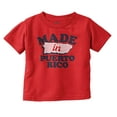 thumbnail image 1 of Made in Puerto Rico Island Pride Toddler Boy Girl T Shirt Infant Toddler Brisco Brands 6M, 1 of 6
