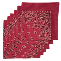 Made in the USA Paisley  Bandanas - 6 Pack, 22" x 22", 100% Cotton