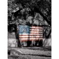 thumbnail image 1 of Made in the USA Poster Print by Richard Roffman (18 x 24), 1 of 2