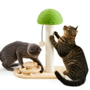 Made4Pets Cat Scratching Post Wood Scratch with Interactive Track Ball Toy, Sisal Ropes and Dangling Cat Toy 20, Green