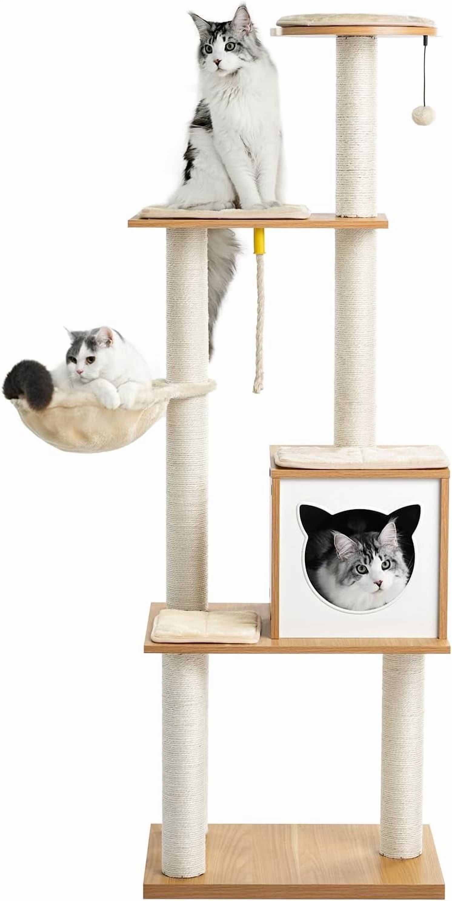 Gallery image with a fresh perspective