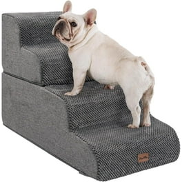 Elevated Dog Dog Beds Walmart In Store Best Cooling Dog Beds Of