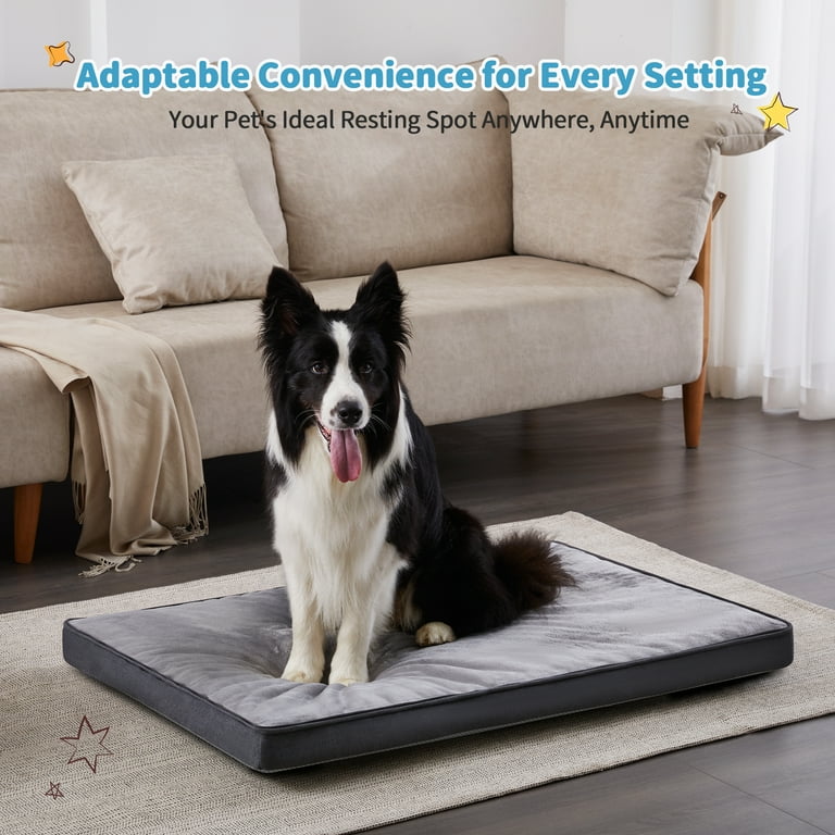 Made dog bed online