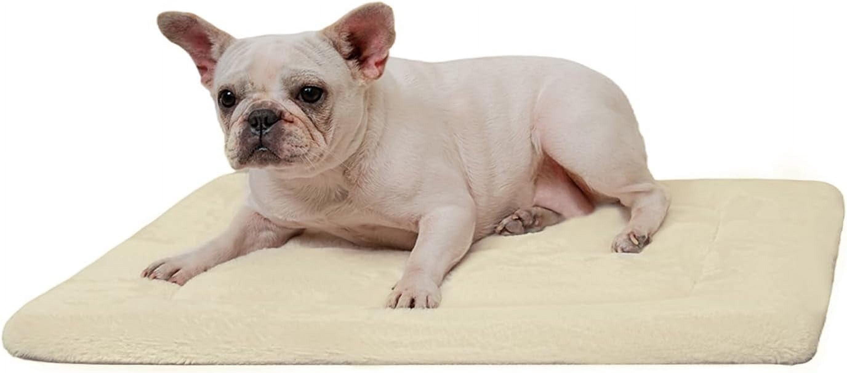 Made4pets Washable Dog Bed for Size Dogs, Reversible Foam Floor Dog Mat, 24*18, Beige