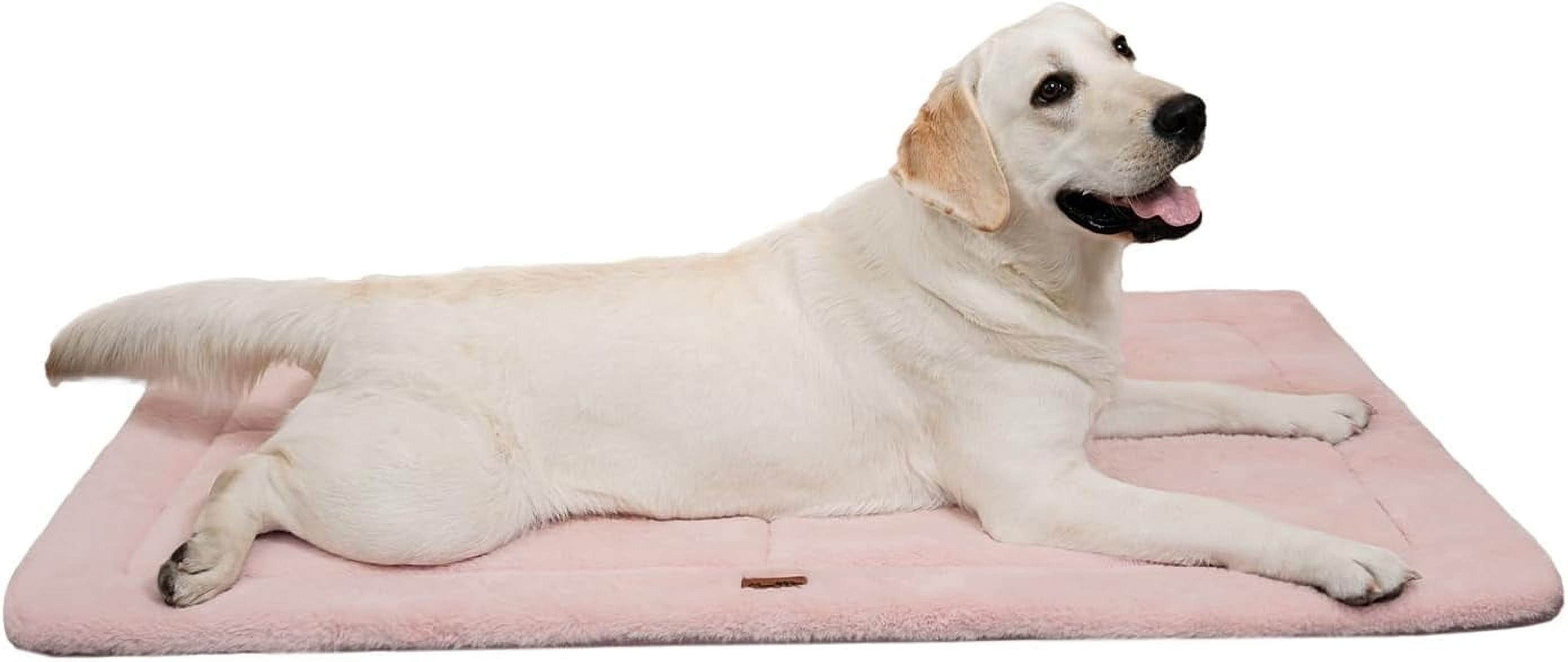 Made4pets Washable Dog Bed for Size Dogs, Reversible Foam Floor Dog Mat, 24*18, Pink