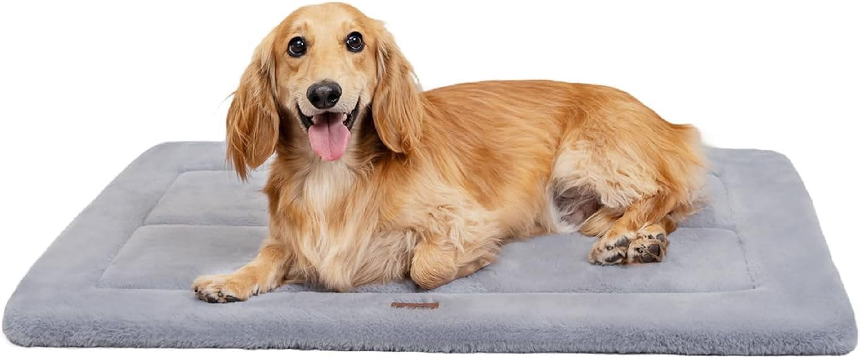 Made4pets Washable Dog Bed for Size Dogs, Reversible Foam Floor Dog Mat, 35*23, Gray