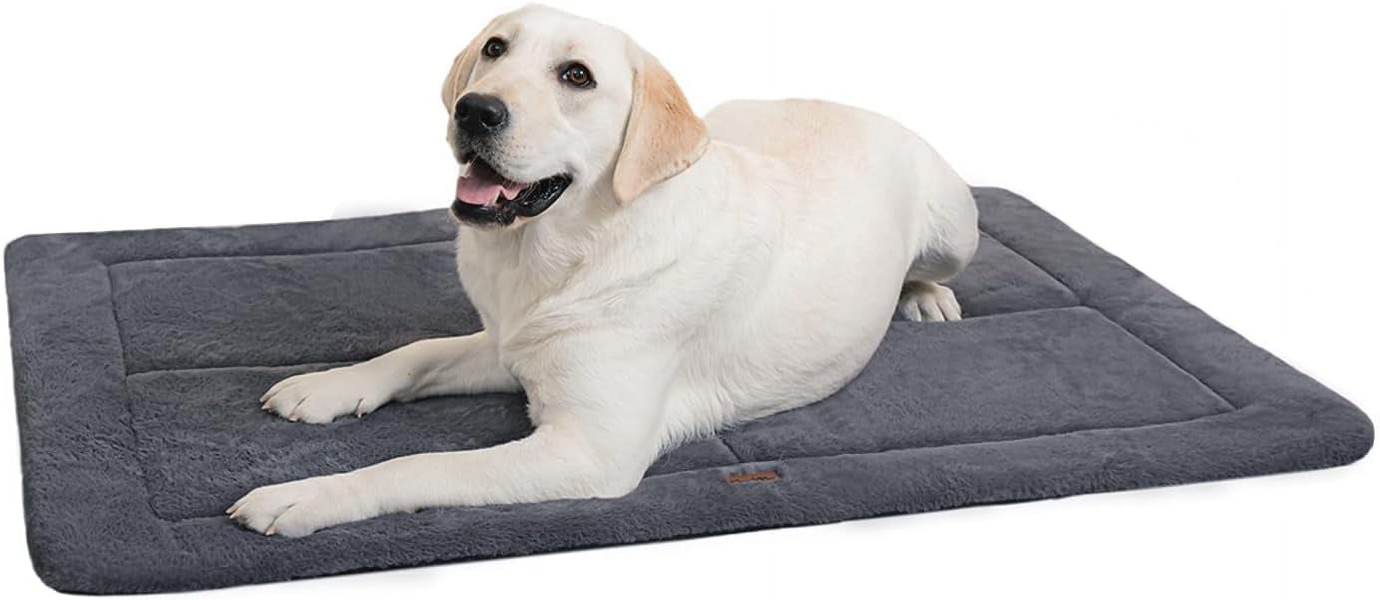 Made4pets Washable Dog Bed for Size Dogs, Reversible Foam Floor Dog Mat, 48*30, Dark Gray