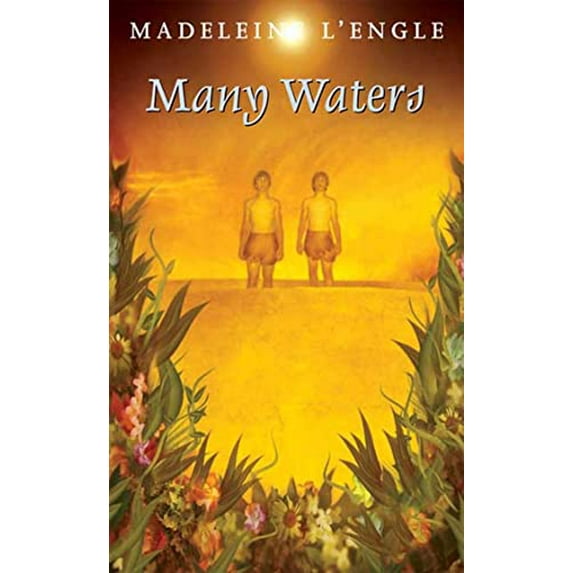 Pre-Owned Many Waters (A Wrinkle in Time Quintet) (Unknown) 0312368615 9780312368616