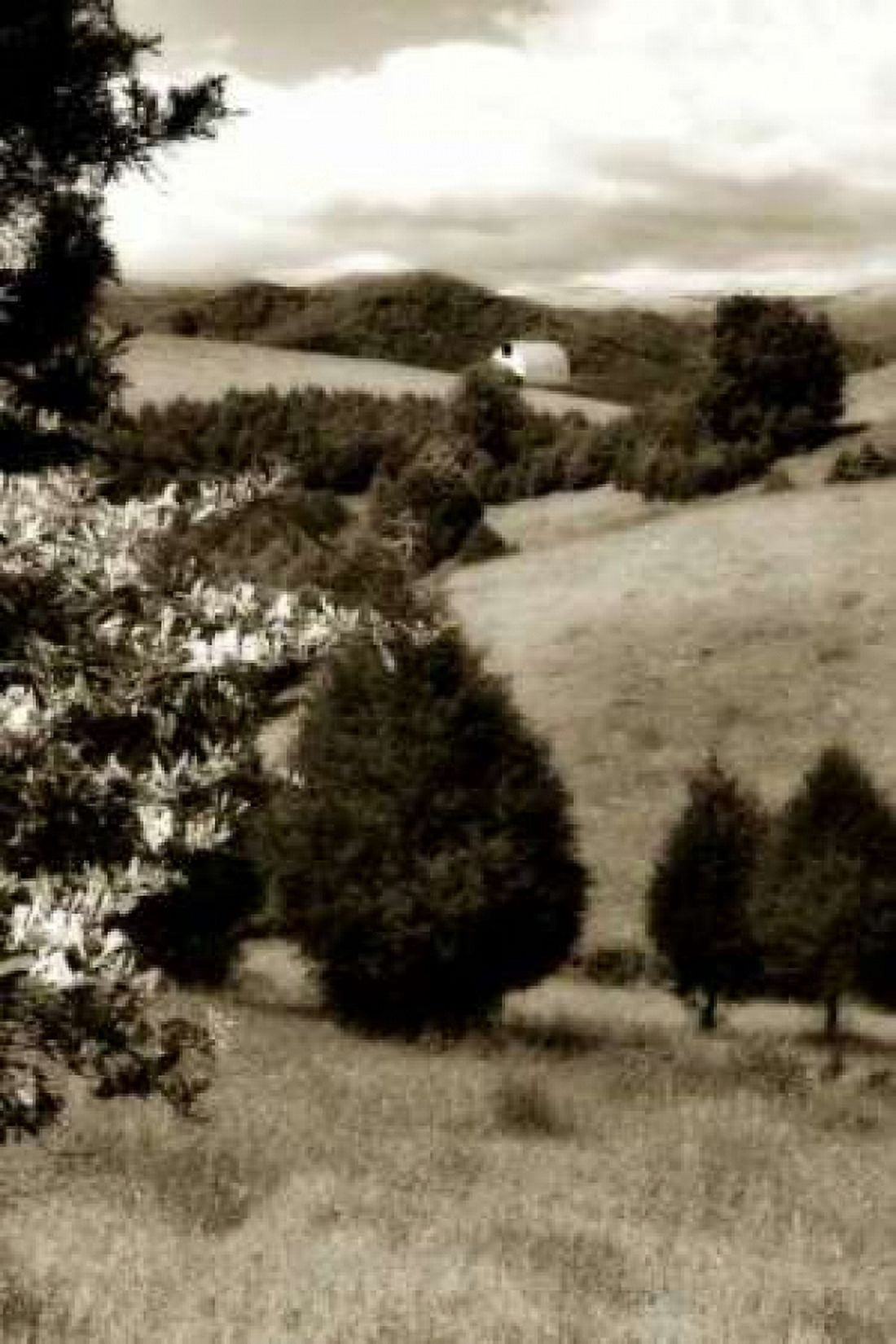Madison County II Canvas Art - Alan Hausenflock (24 x 36)