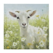 Madison Park Sunshine Animals Farmhouse Style Goat Printed on Canvas Wall Art, Green Multi, 16"W x 16"H