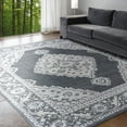 thumbnail image 1 of Madison Traditional 9' x 12' Dark Gray and Cream Polypropylene Indoor Area Rug, 1 of 9