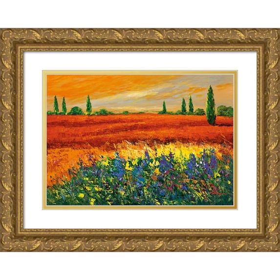 Madjid 18x14 Gold Ornate Wood Framed with Double Matting Museum Art Print Titled - Toskana III