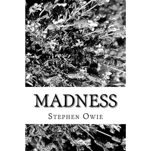 Madness Paperback 1545233799 9781545233795 dr Stephen Owie