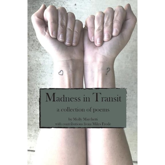 Madness in Transit, (Paperback)