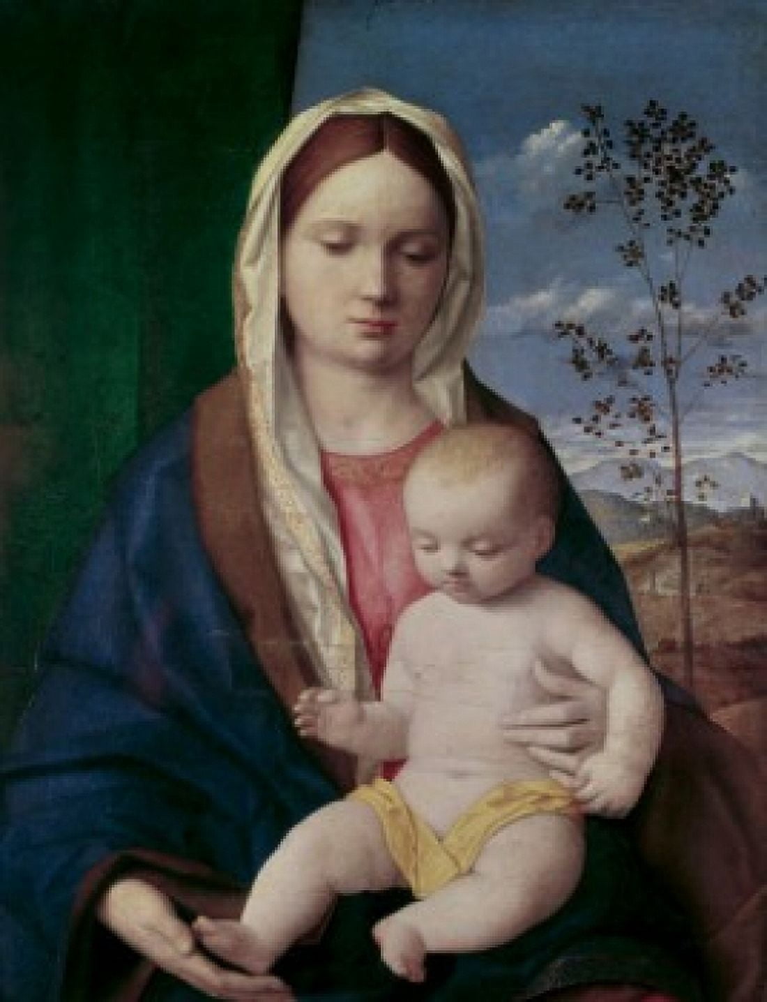 Madonna & Child #2 Bellini Giovanni(ca1430-1516 Italian) Canvas Art - Giovanni Bellini (18 x 24)