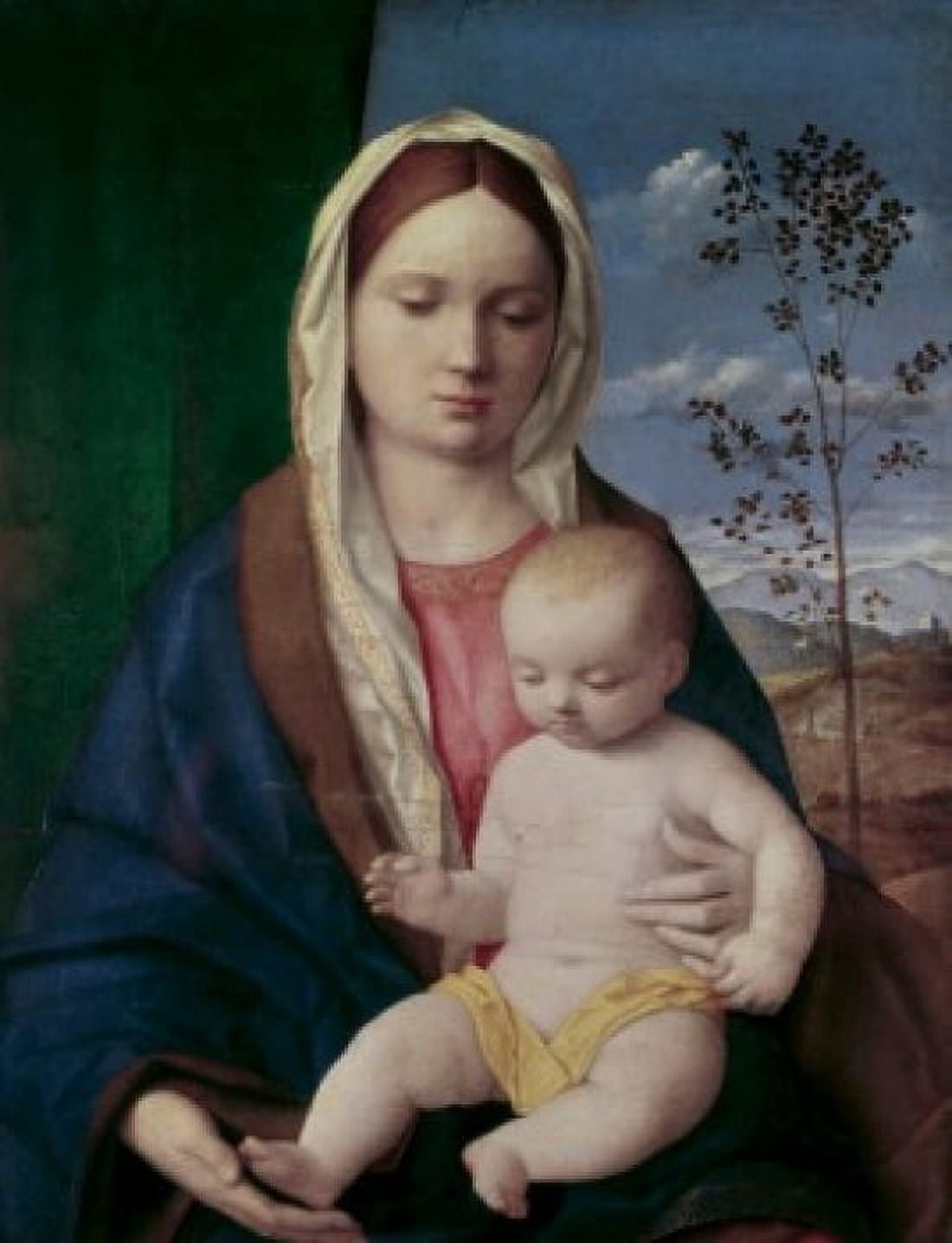Madonna & Child #2 Bellini Giovanni(ca1430-1516 Italian) Canvas Art - Giovanni Bellini (24 x 36)