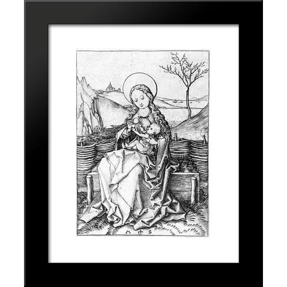 Madonna on the Turf Bench 20x24 Framed Art Print by Martin Schongauer