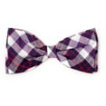 thumbnail image 1 of Madras Plaid Bow Tie, 1 of 2