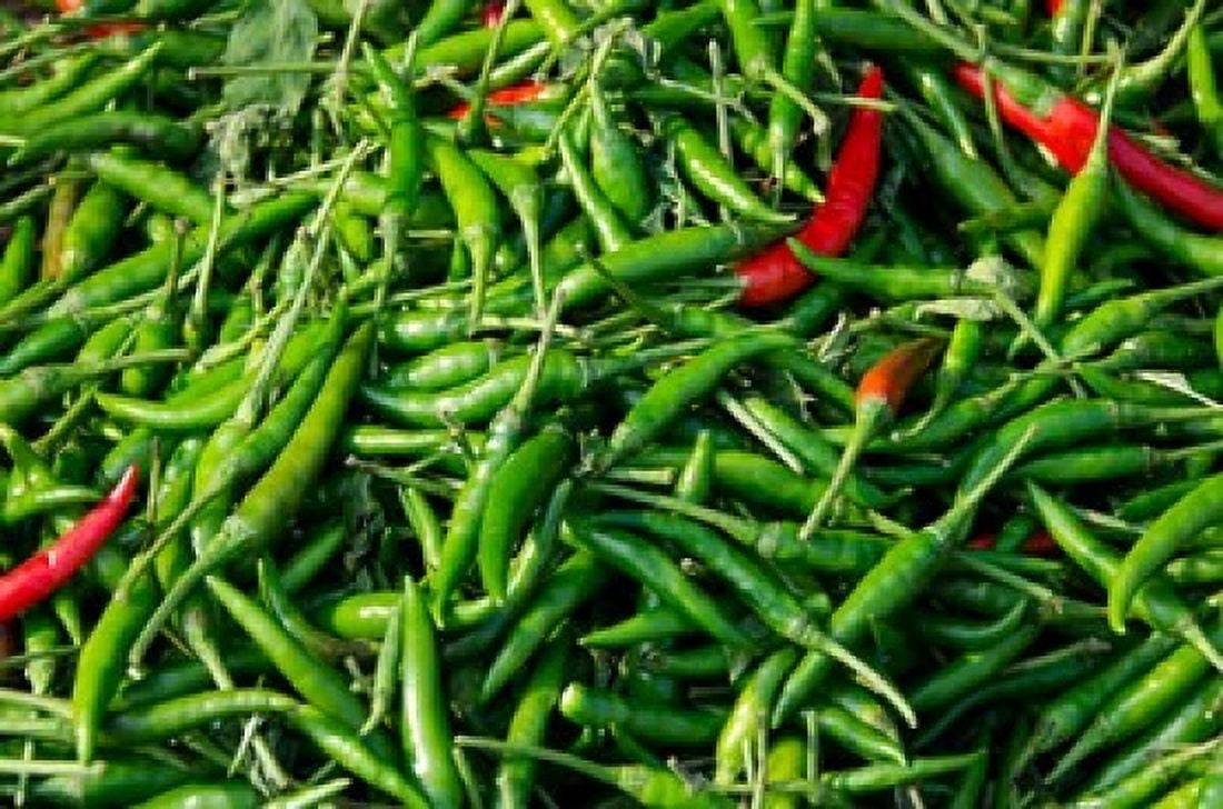 Maeklong railroad tracks market Thai peppers Bangkok Thailand Canvas Art - Cindy Miller Hopkins DanitaDelimont (25 x 17)