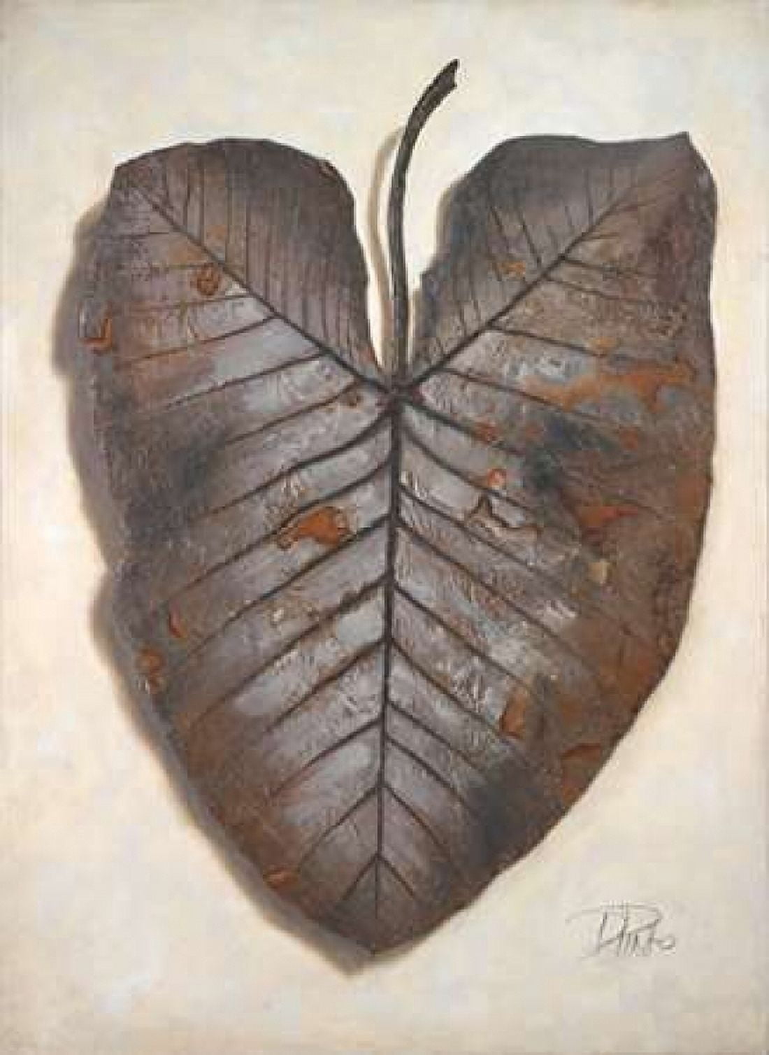 Mafafa I Canvas Art - Patricia Pinto (18 x 24)