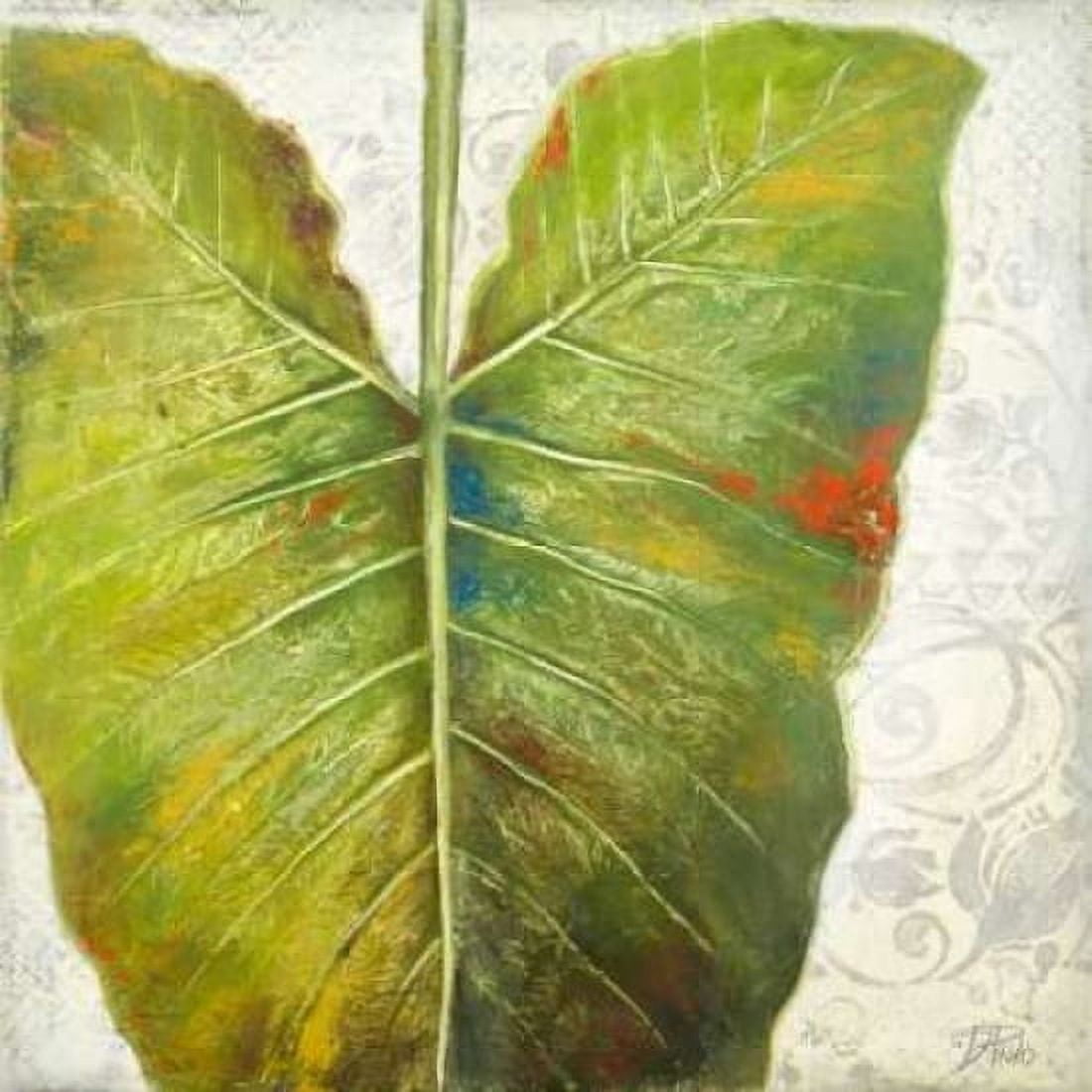 Mafafa I Canvas Art - Patricia Pinto (24 x 24)