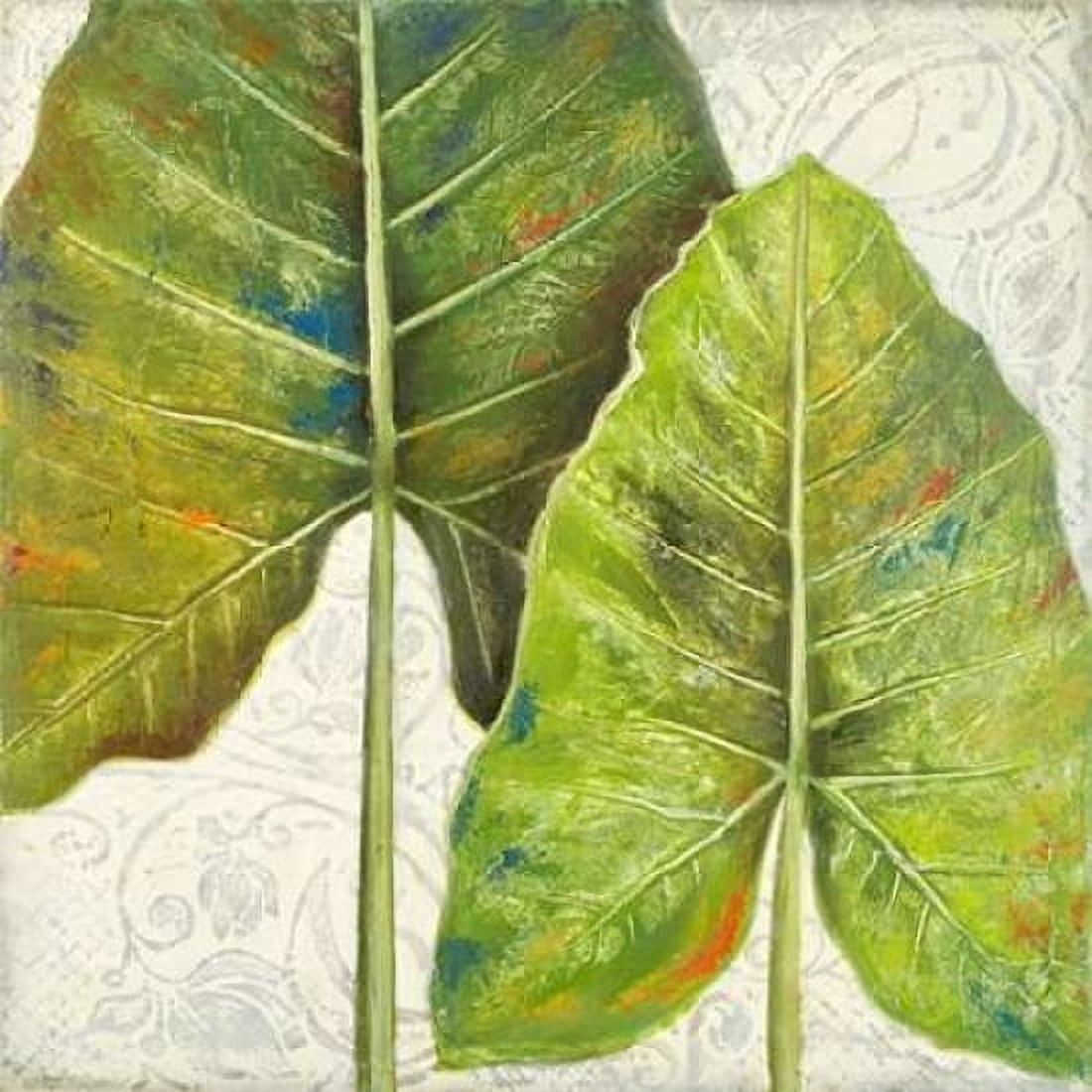 Mafafa II Canvas Art - Patricia Pinto (24 x 24)