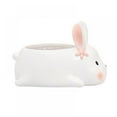 thumbnail image 1 of Magazine Animal Succulent Flower Pot Rabbit Duck Flower Plant Pots Resin Planters Storage Boxes Home Garden Supplies, 1 of 9