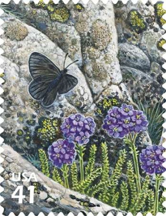 Magdalena Alpine Butterfly Canvas Art - US POSTAL SERVICE (22 x 28)