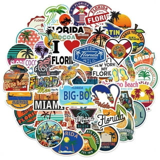  Florida FL State Shape Silhouette United States U.S Vinyl Decal  Sticker (Black) : Sports & Outdoors
