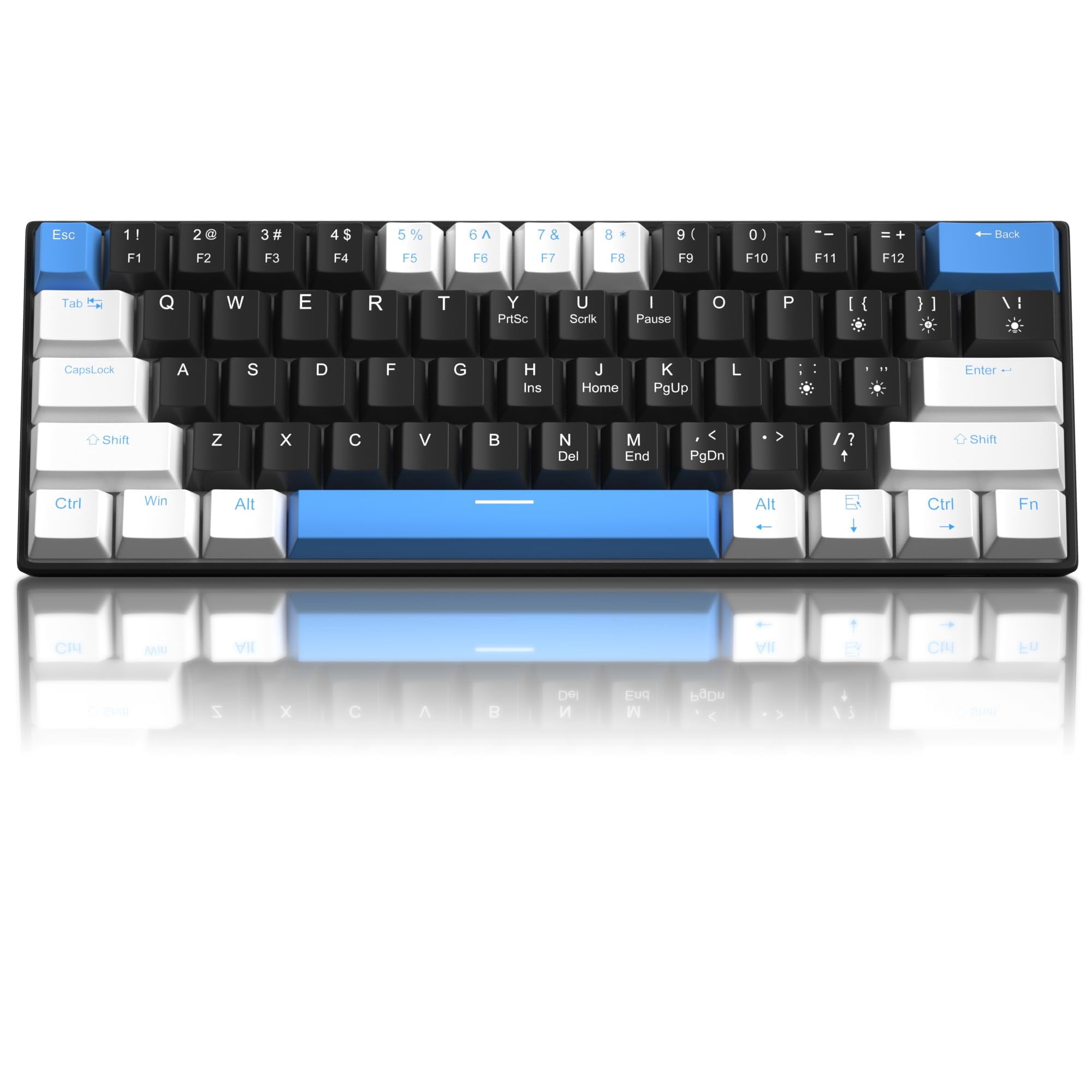 White Black Blue