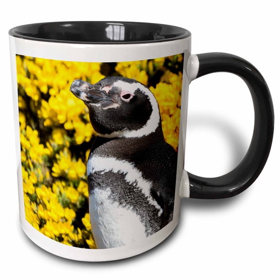 3drose, Magellanic Penguin at Burrow, Falkland Islands, 11oz Two-tone Black Mug