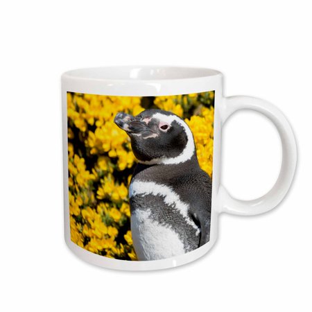 3drose, Magellanic Penguin at Burrow, Falkland Islands, 15oz Mug