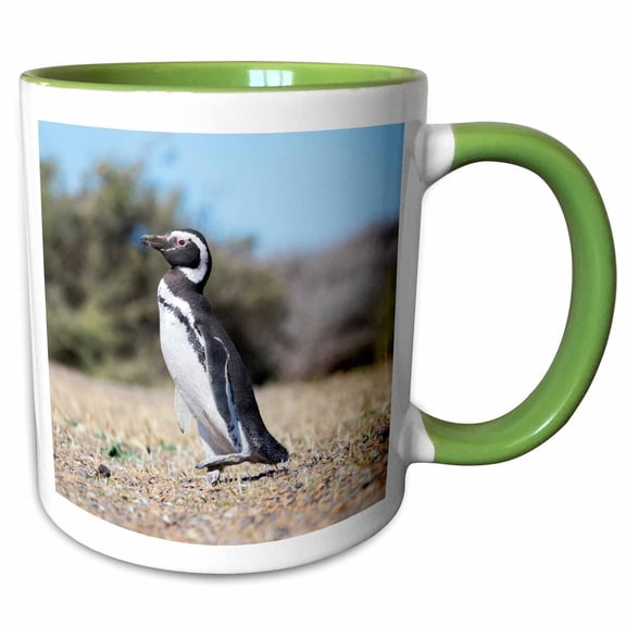 3drose, Magellanic Penguin in Valdes. Unesco Site. Patagonia, Argentina., 11oz Two-tone Green Mug