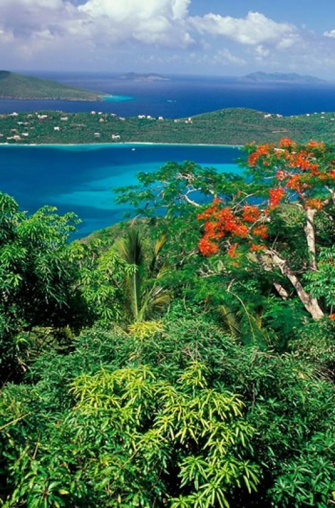 Magens Bay St Thomas Caribbean Canvas Art - Robin Hill DanitaDelimont (18 x 27)