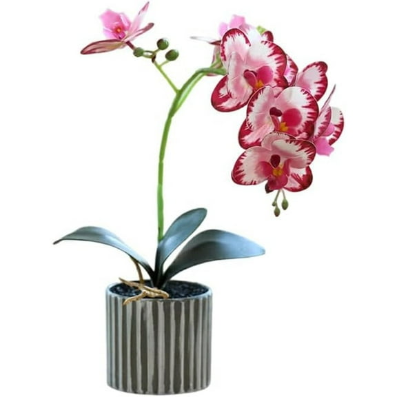 Magenta Artificial Phalaenopsis Orchid Plant, 8 Flowers, Plastic Pot, White Orchid Artificial Flowers In Pot, Bendable Faux Phalaenopsis for Home Wedding Table Centerpiece Decor, Kingtowag