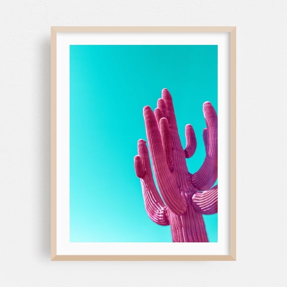Magenta Pink Saguaro - Phoenix Arizona Photography Oak Framed Wall Art Print 24 x 30 inches