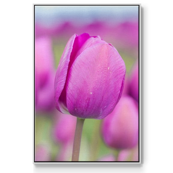 Magenta Stem Framed Premium Gallery Wrapped Canvas - Ready to Hang