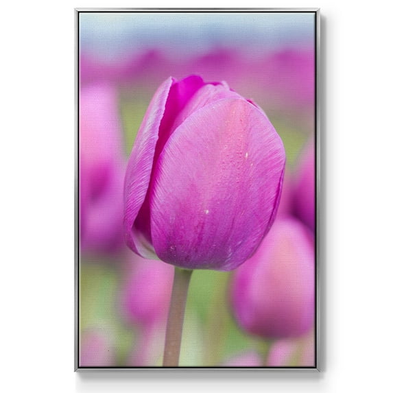 Magenta Stem Framed Premium Gallery Wrapped Canvas - Ready to Hang