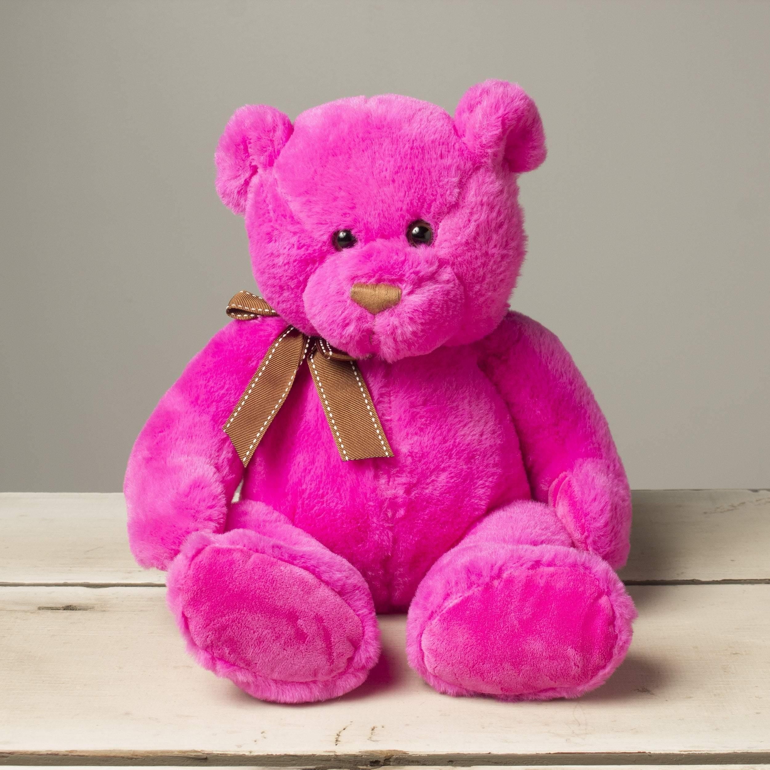 Gitzy bear 2025