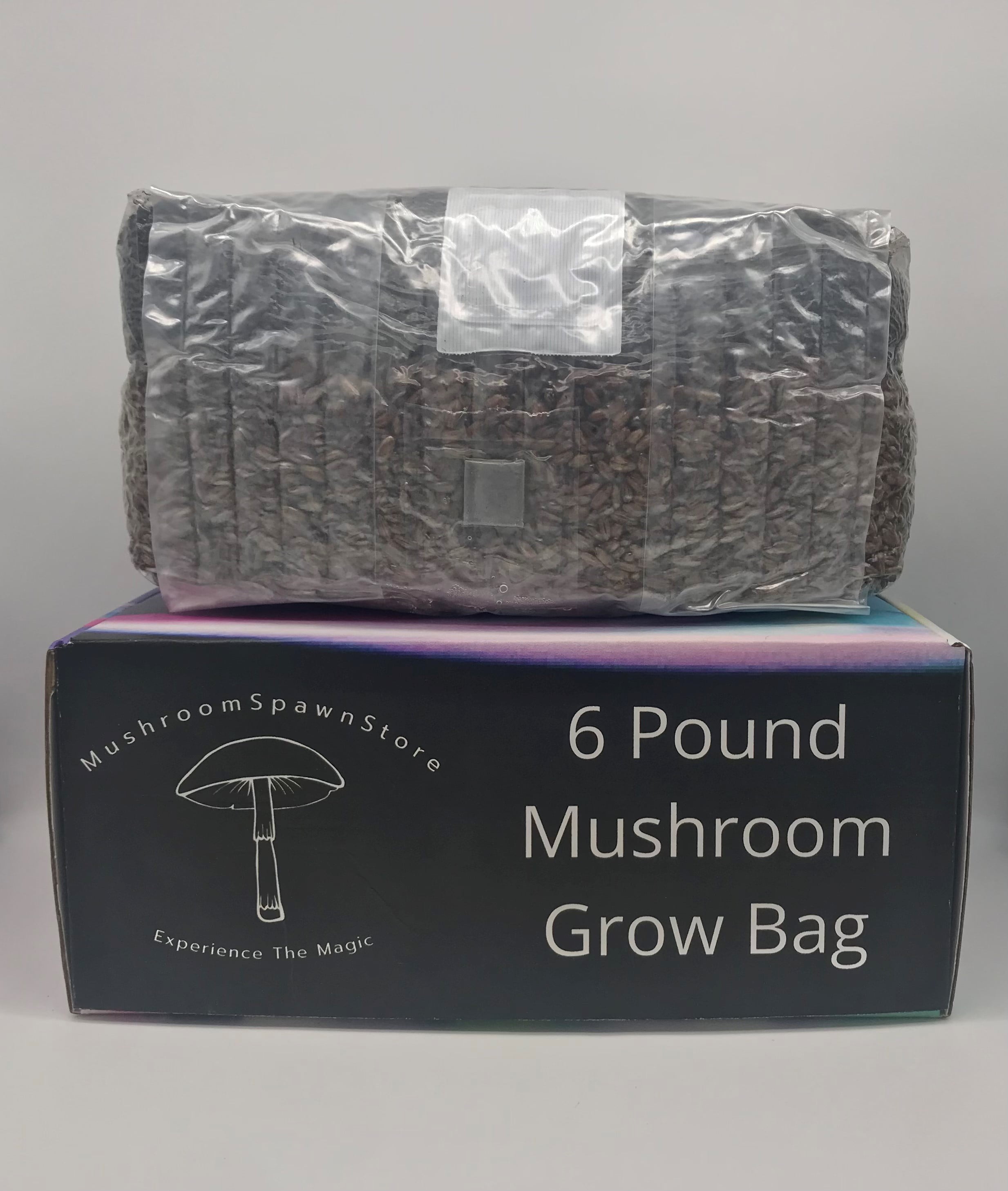 Magic All In One Mushroom Grow Bag 6 Pound