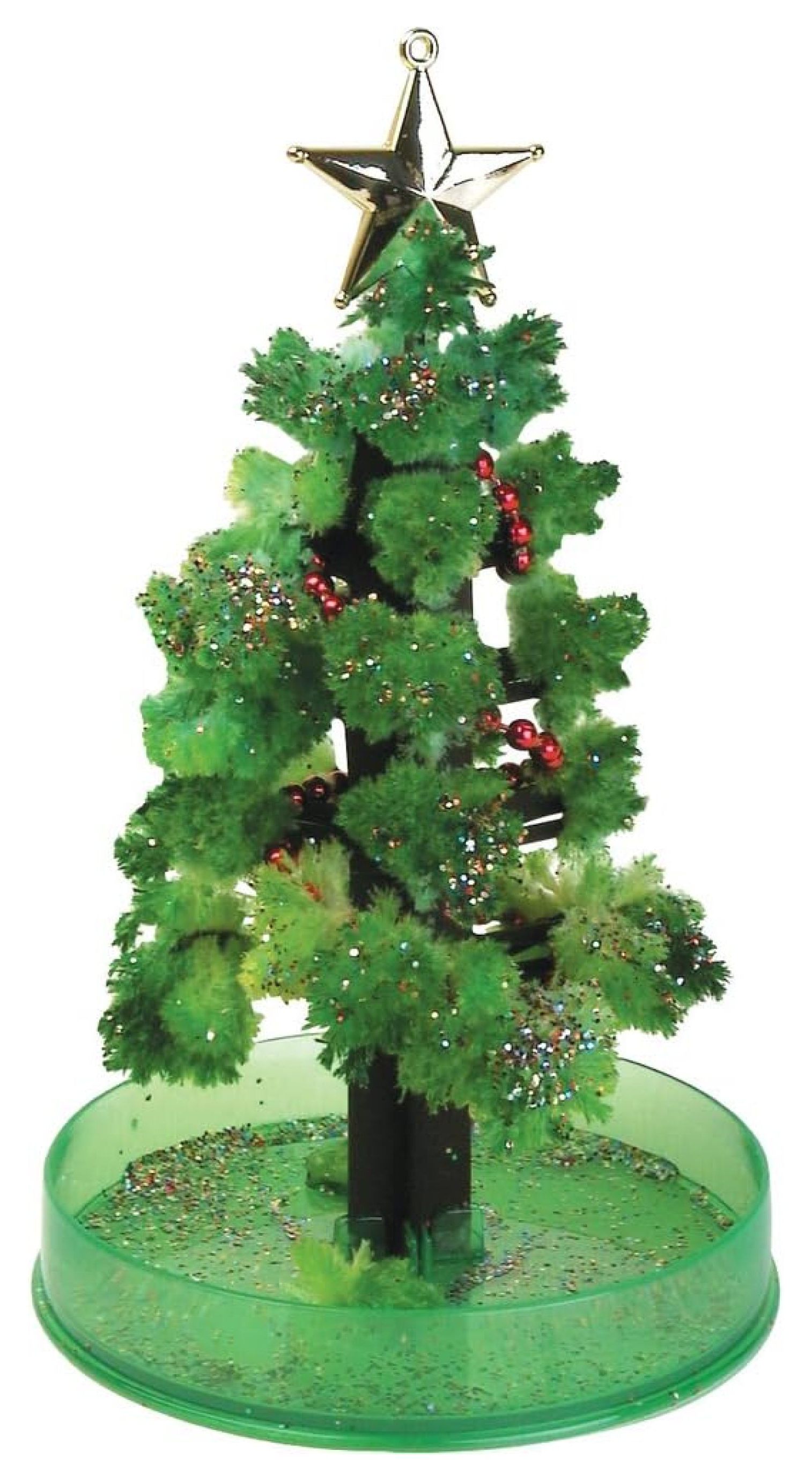 Magic Christmas Tree Watch It Grow in 24 Hours!!