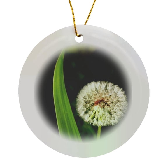 3drose, Magic Dandelion Puff Is a Photo of a Dandelion Puff Ball, Circle Porcelain Ornament